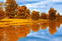 Yellow at the lake